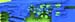 Exploration_03_31_15_D4_WEB