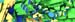 Exploration_03_31_15_E9_WEB