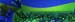 Exploration_03_31_15_F4_WEB
